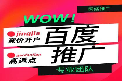 百度推广中的用户行为分析：基于案例的深度解析